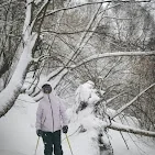 Chica en  bosque nevado baqueira — Alpine Ski Academy, Baqueira Beret